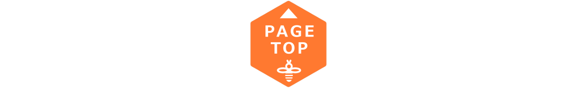 PAGE TOP